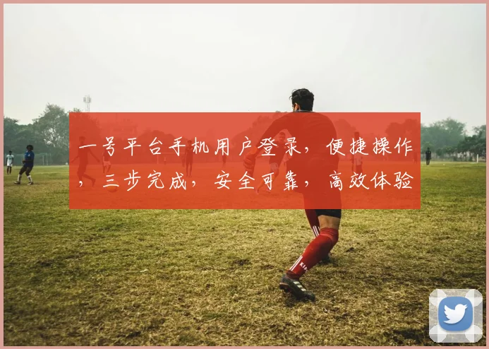 一号平台手机用户登录，便捷操作，三步完成，安全可靠，高效体验