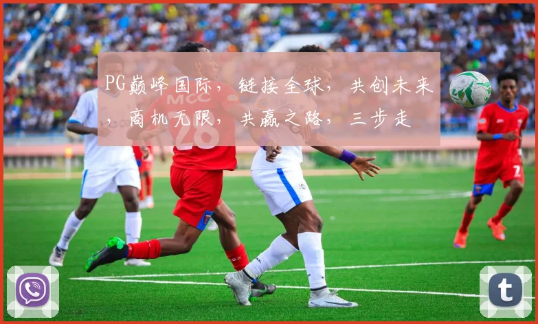 PG巅峰国际，链接全球，共创未来，商机无限，共赢之路，三步走