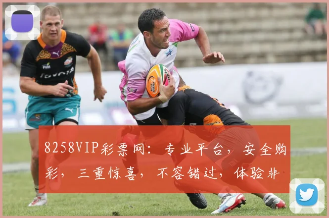 8258VIP彩票网：专业平台，安全购彩，三重惊喜，不容错过，体验非凡